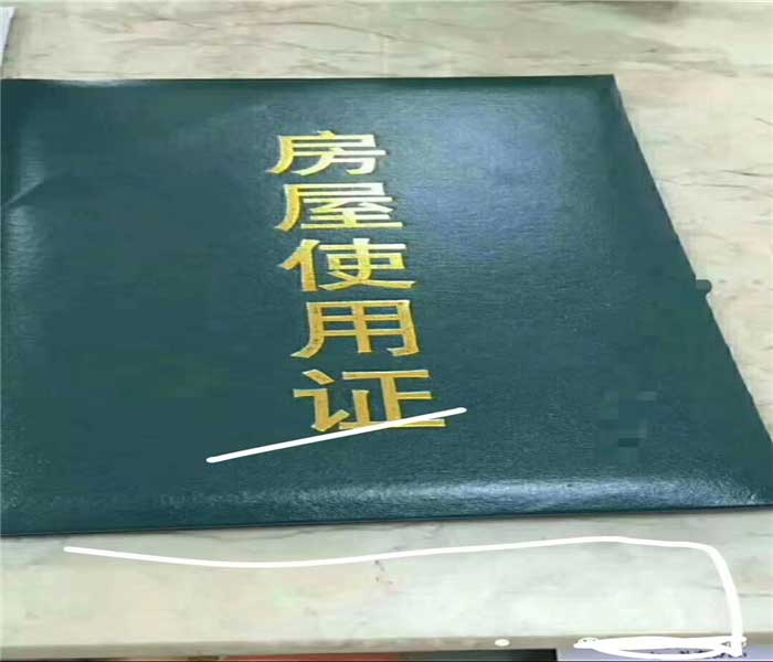 金蘋果園村委統建樓