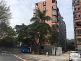 西麗小產權房：同樂雅苑